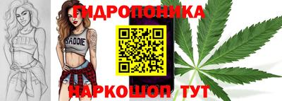 сатива Нарткала