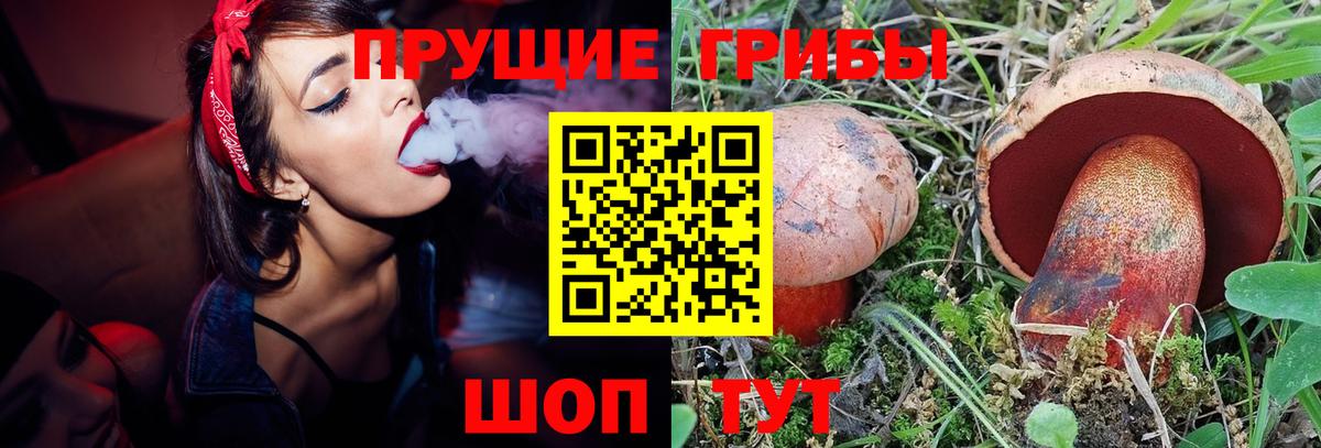 Обь  Псилоцибиновые грибы GOLDEN TEACHER  Вход с VPN 